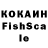 Галлюциногенные грибы Psilocybine cubensis KenKaneki