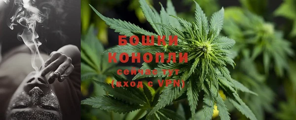 гидра Елизово
