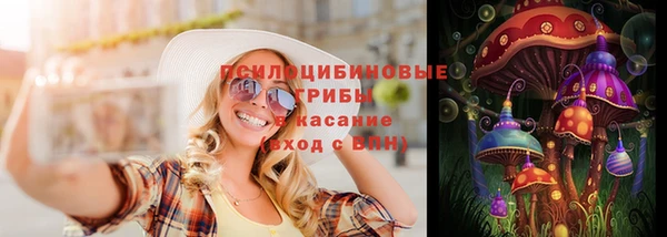 гашик Елабуга