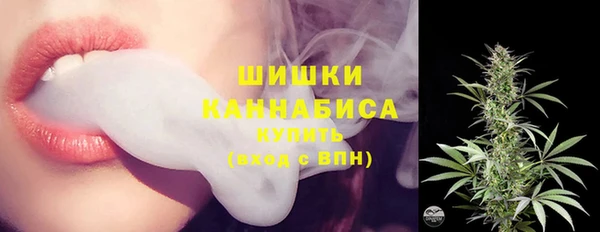 гидра Елизово