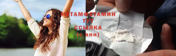 гидра Елизово