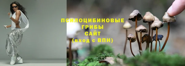 COCAINE Ельня