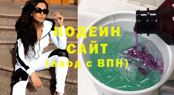 гидра Елизово