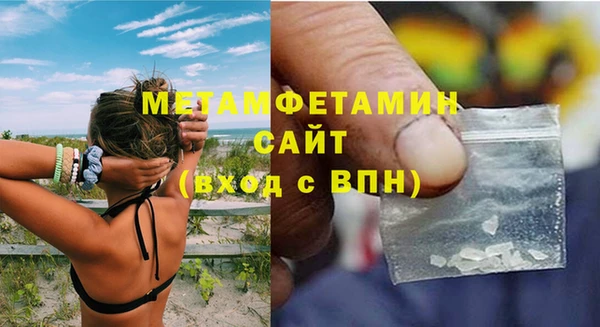 гидра Елизово