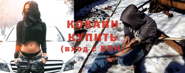 гидра Елизово