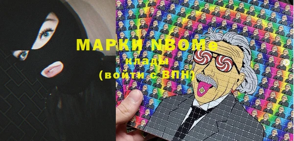 гашик Елабуга